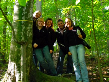 photo of Integrated Science students investigating beech trees
